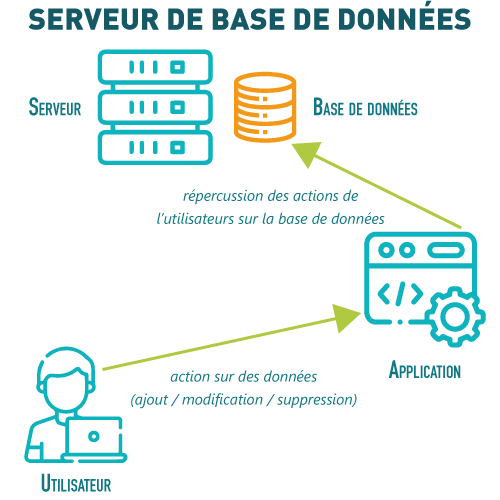 schema du fonctionnement d'un serveur de base de données dans le cadre d'une entreprise